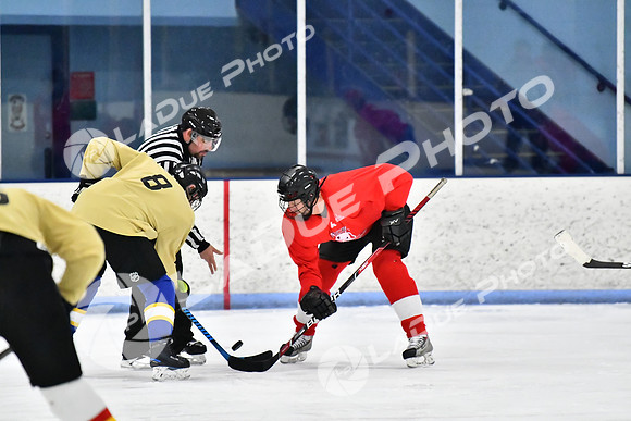 240228_FCHL_D_SticksStones_Valentes065