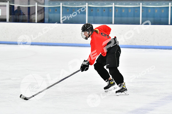 240228_FCHL_D_SticksStones_Valentes066