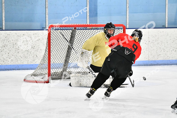 240228_FCHL_D_SticksStones_Valentes067