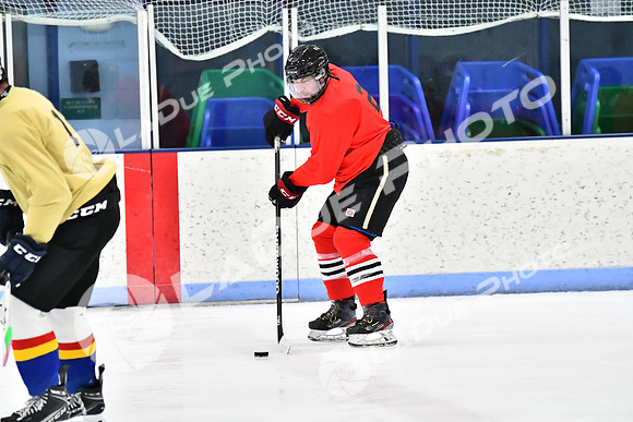 240228_FCHL_D_SticksStones_Valentes071