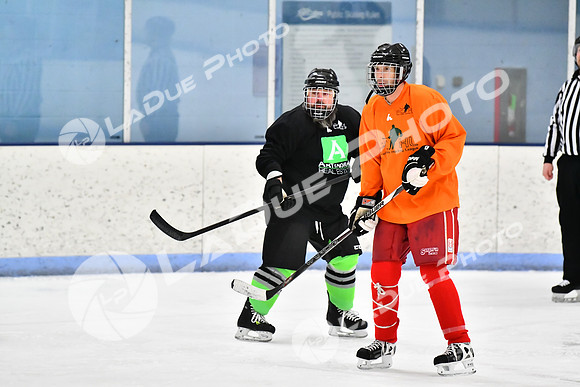 240228_FCHL_D_Antinora_FCHL050