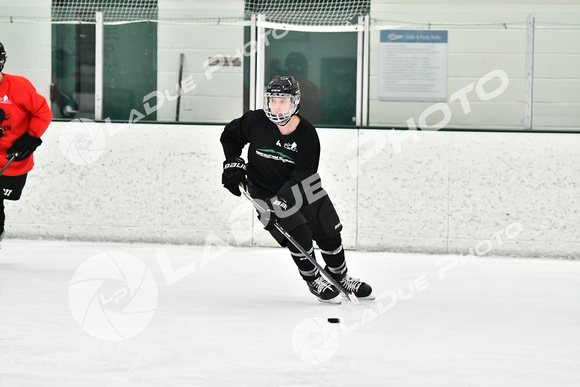 240228_FCHL_C1_Mammoth_PVHI020