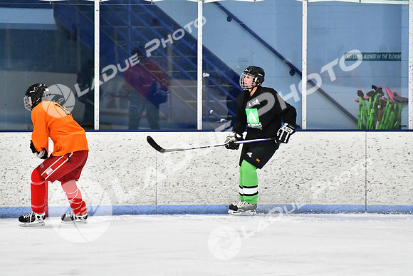 240228_FCHL_D_Antinora_FCHL052