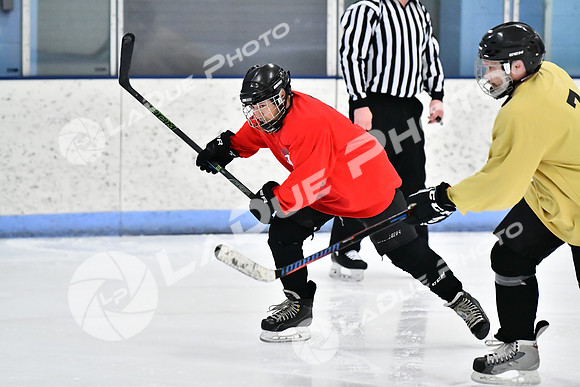 240228_FCHL_D_SticksStones_Valentes072
