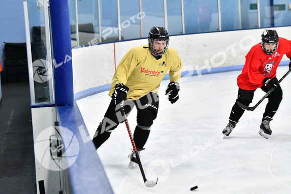 240228_FCHL_D_SticksStones_Valentes073