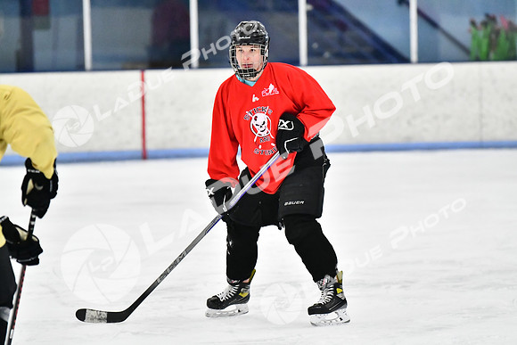 240228_FCHL_D_SticksStones_Valentes074