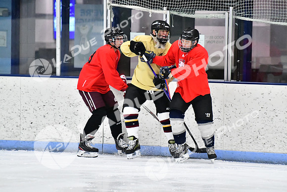 240228_FCHL_D_SticksStones_Valentes075