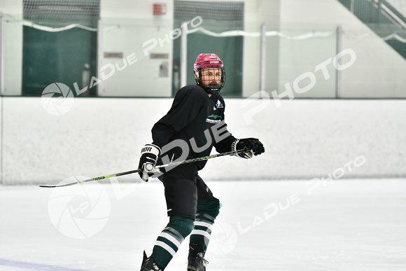 240228_FCHL_C1_Mammoth_PVHI026