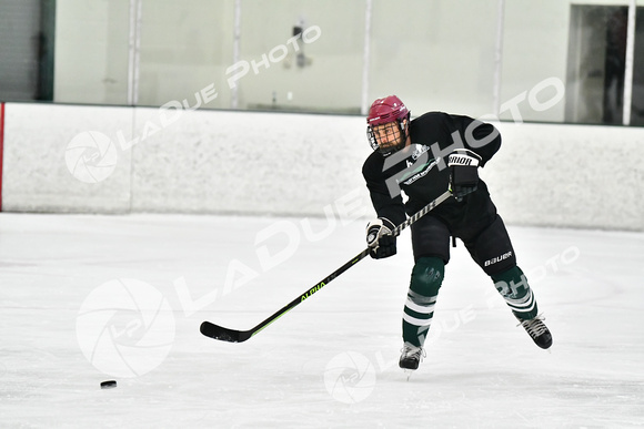 240228_FCHL_C1_Mammoth_PVHI028