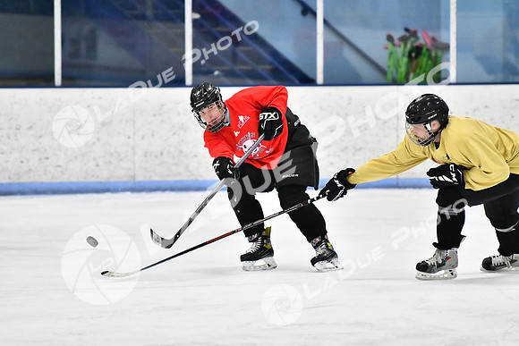240228_FCHL_D_SticksStones_Valentes077