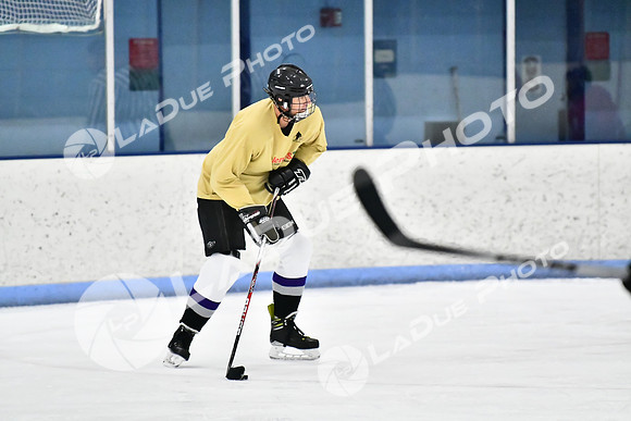 240228_FCHL_D_SticksStones_Valentes079