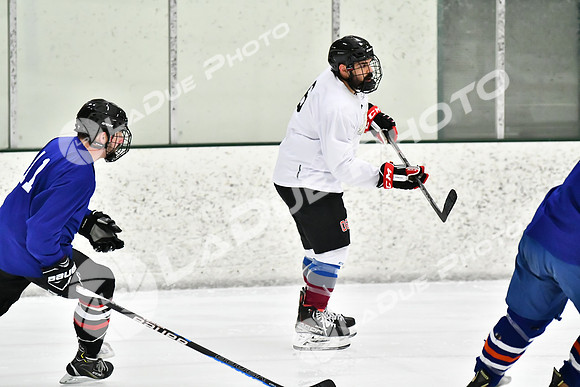 240228_FCHL_C1_Pando_Forge012