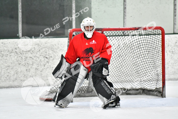 240228_FCHL_C1_Mammoth_PVHI030
