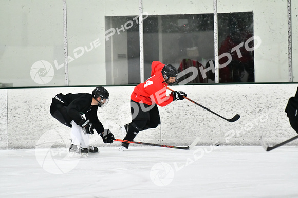 240228_FCHL_C1_Mammoth_PVHI033