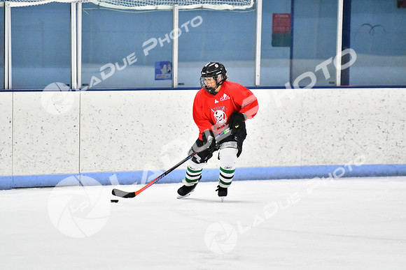 240228_FCHL_D_SticksStones_Valentes083