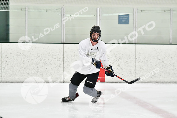 240228_FCHL_C1_Pando_Forge016