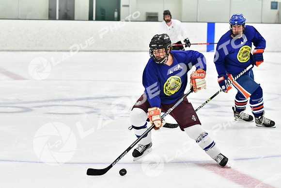 240228_FCHL_C1_Pando_Forge017