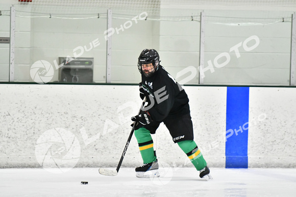 240228_FCHL_C1_Mammoth_PVHI036