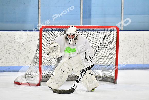 240228_FCHL_D_PondScum_Dominators050