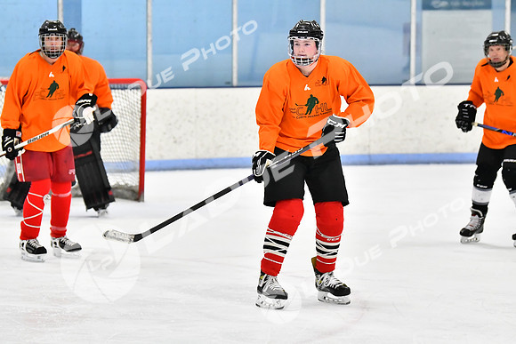 240228_FCHL_D_Antinora_FCHL068