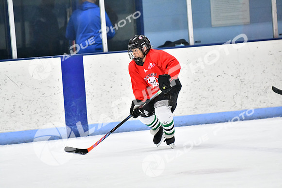 240228_FCHL_D_SticksStones_Valentes087