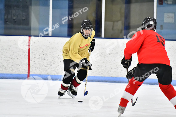 240228_FCHL_D_SticksStones_Valentes089