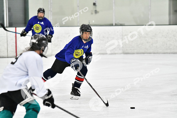 240228_FCHL_C1_Pando_Forge020