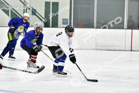 240228_FCHL_C1_Pando_Forge023