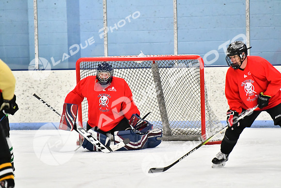 240228_FCHL_D_SticksStones_Valentes090