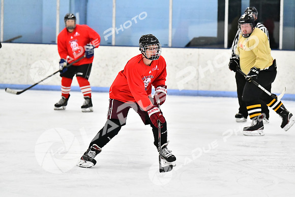 240228_FCHL_D_SticksStones_Valentes091