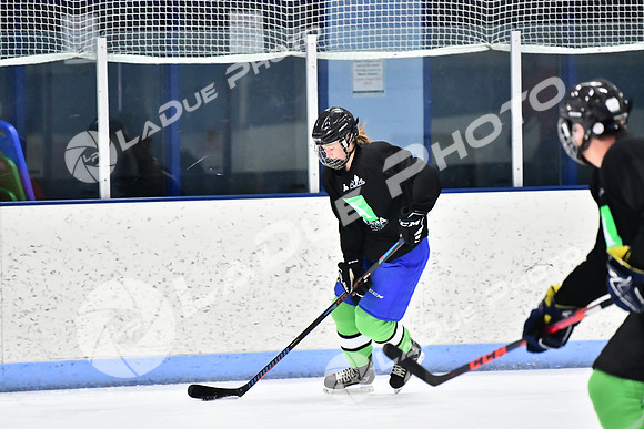 240228_FCHL_D_Antinora_FCHL072