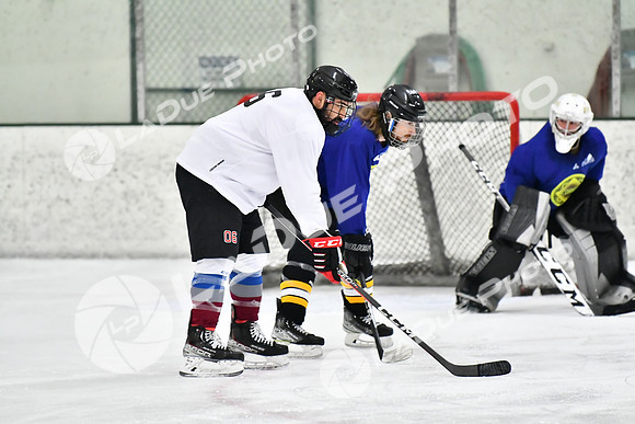 240228_FCHL_C1_Pando_Forge024