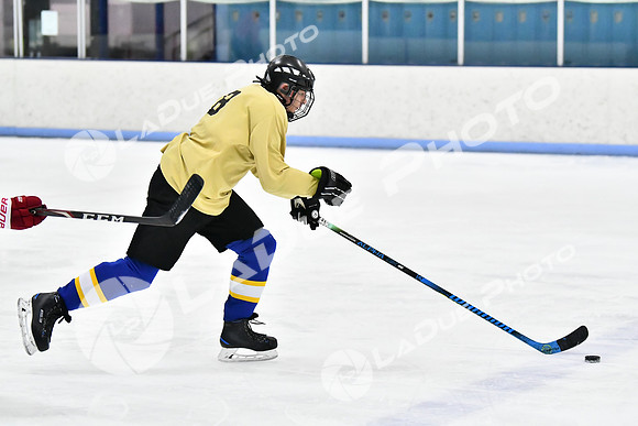 240228_FCHL_D_SticksStones_Valentes094
