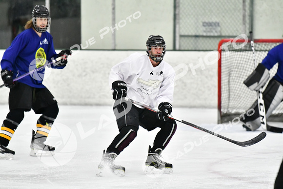 240228_FCHL_C1_Pando_Forge028