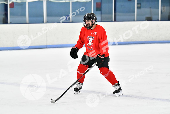 240228_FCHL_D_SticksStones_Valentes095