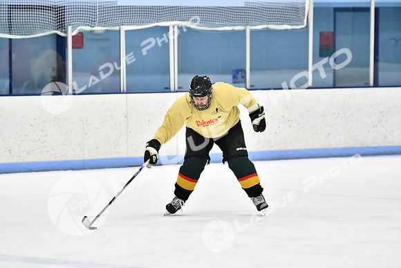 240228_FCHL_D_SticksStones_Valentes098