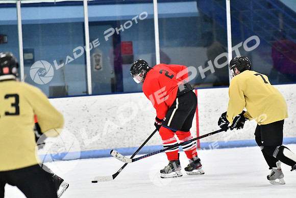 240228_FCHL_D_SticksStones_Valentes099