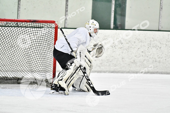 240228_FCHL_C1_Pando_Forge033