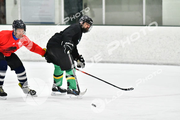 240228_FCHL_C1_Mammoth_PVHI050