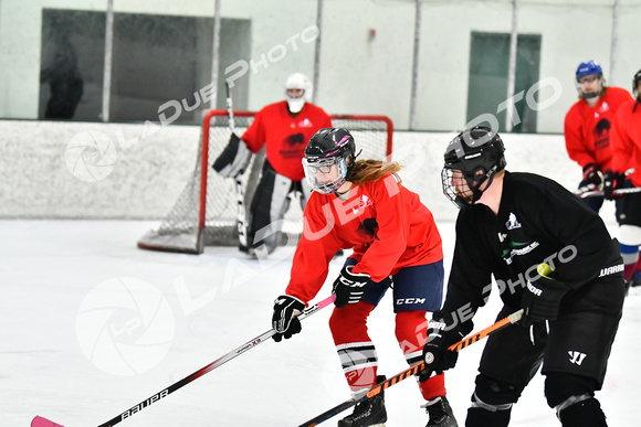 240228_FCHL_C1_Mammoth_PVHI051