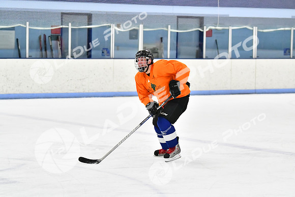 240228_FCHL_D_Antinora_FCHL081