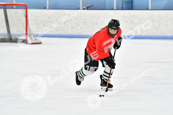 240228_FCHL_D_SticksStones_Valentes101