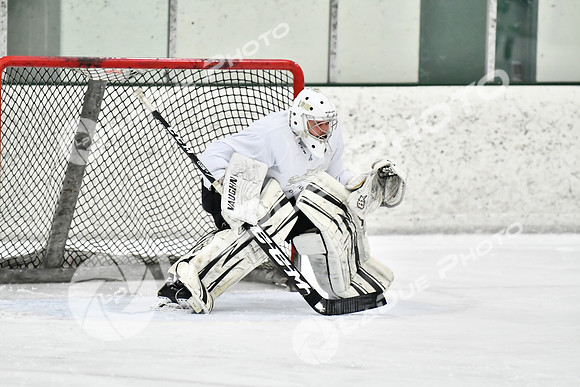 240228_FCHL_C1_Pando_Forge034