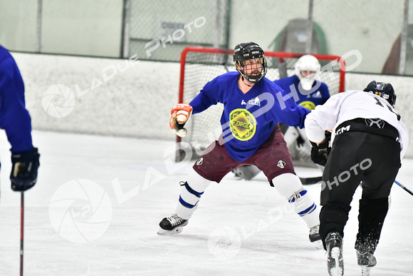 240228_FCHL_C1_Pando_Forge038