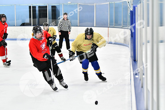 240228_FCHL_D_SticksStones_Valentes106