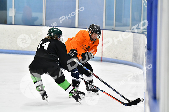240228_FCHL_D_Antinora_FCHL087