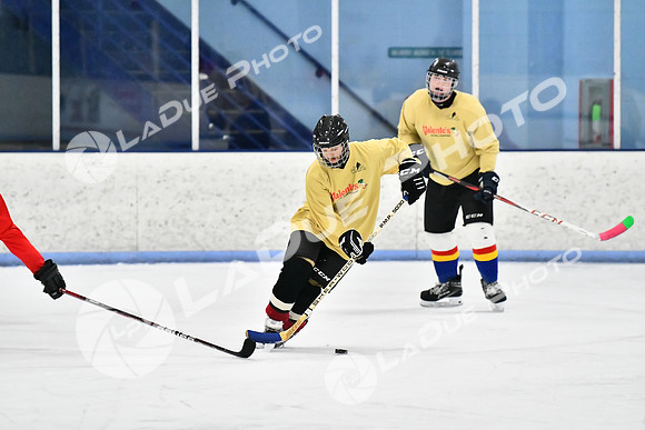 240228_FCHL_D_SticksStones_Valentes107