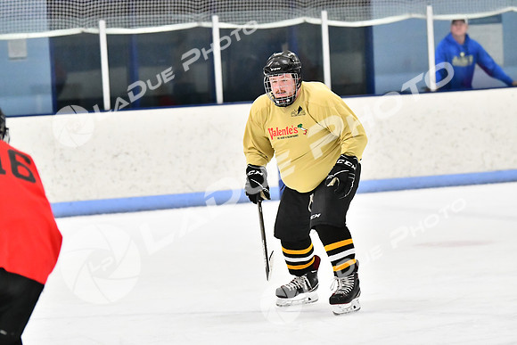 240228_FCHL_D_SticksStones_Valentes109