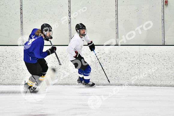 240228_FCHL_C1_Pando_Forge042