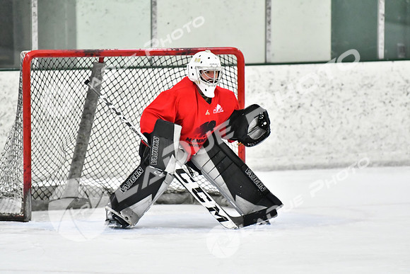 240228_FCHL_C1_Mammoth_PVHI059